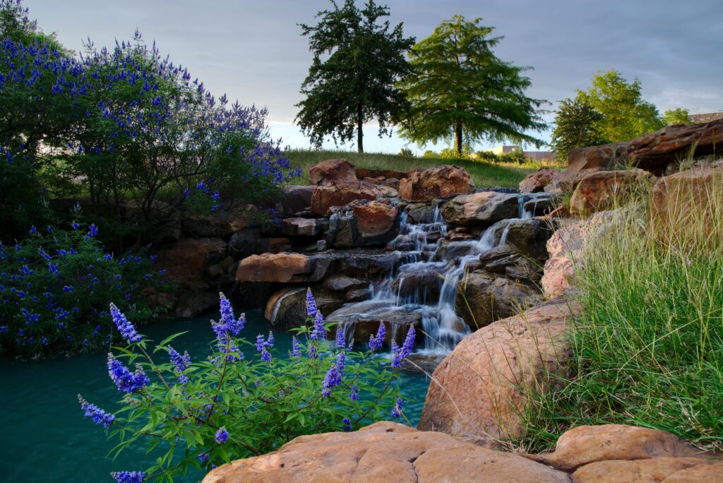 Scenic view of a landscaped park in Frisco, Texas, with a small cascading waterfall, large rocks, green grass, and blooming purple flowers.